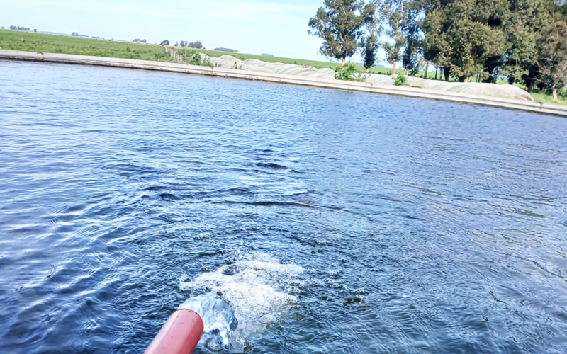 Agua bombeada con energía solar
